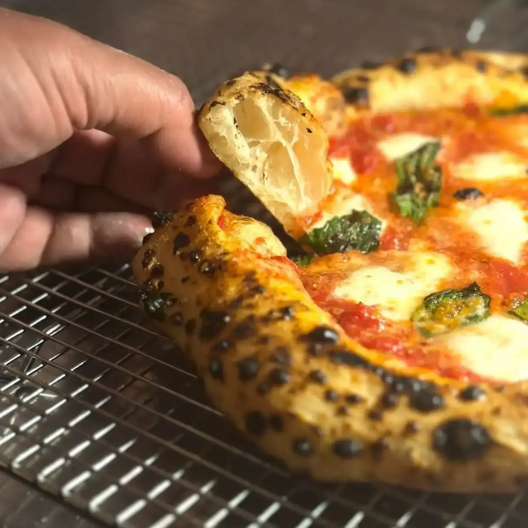 What Now New York: Sea Cliff Gastropub Owners to Launch The Onion Tree Pizza Co. in East Village